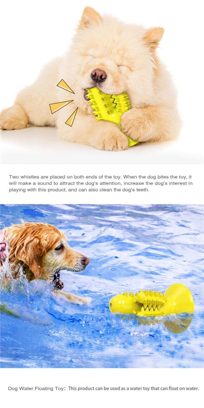 Δόντι μορφής κάκτων που καθαρίζει το παιχνίδι δαγκωμάτων σκυλιών της Pet με την προσαρμοσμένη υπηρεσία