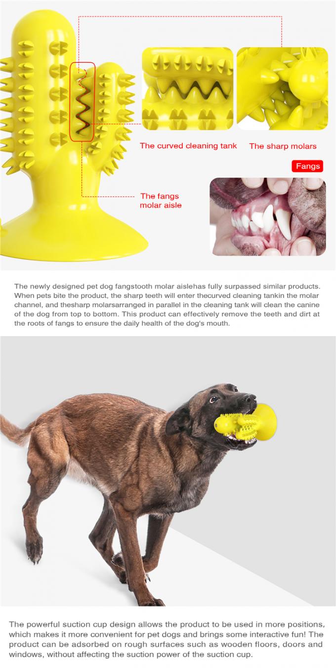 Δόντι μορφής κάκτων που καθαρίζει το παιχνίδι δαγκωμάτων σκυλιών της Pet με την προσαρμοσμένη υπηρεσία