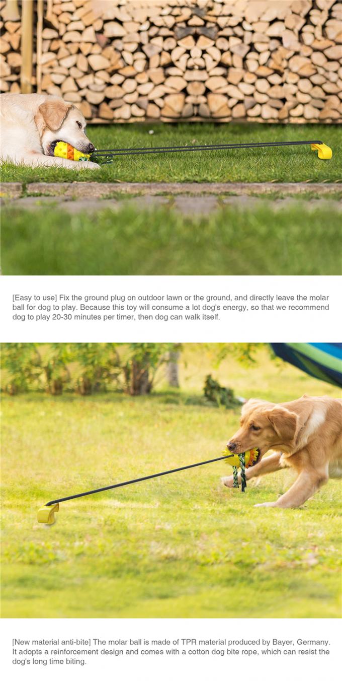 Καλά σχεδιασμένη της Pet σφαίρα μασήματος σκυλιών νερού παιχνιδιών υπαίθρια με την καθαρίζοντας σφαίρα δοντιών σκυλιών σχοινιών υπηρετών