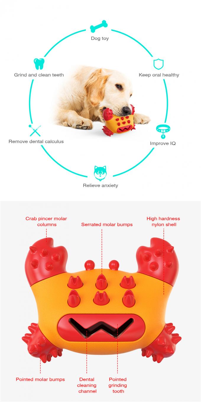 Της Pet πολυσύνθετο Tpr προστατευτικό μοριακό καθαρίζοντας οδοντοβουρτσών μοριακό παιχνίδι σκυλιών διασκέδασης μασήματος δαγκωμάτων υγιές