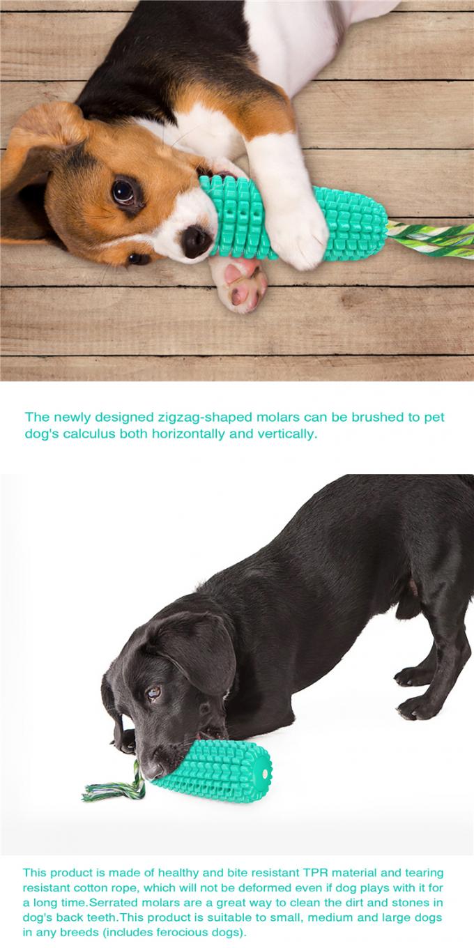 Η οδοντόβουρτσα σκυλιών της Pet μασά το κουτάβι παιχνιδιών μασά τα παιχνίδια καλαμποκιού με το υγιές Tpr υλικό διαλογικό παιχνίδι σχοινιών σκυλιών ανθεκτικό