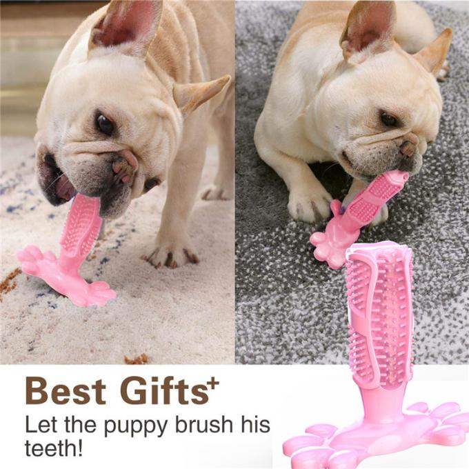 Το σκυλί μασά τα δόντια σκυλιών οδοντοβουρτσών που καθαρίζουν παιχνιδιών καθαρίζοντας ραβδί προσοχής φυσικού λάστιχου το οδοντικό για τα μέσα μεγάλα κατοικίδια ζώα σκυλιών